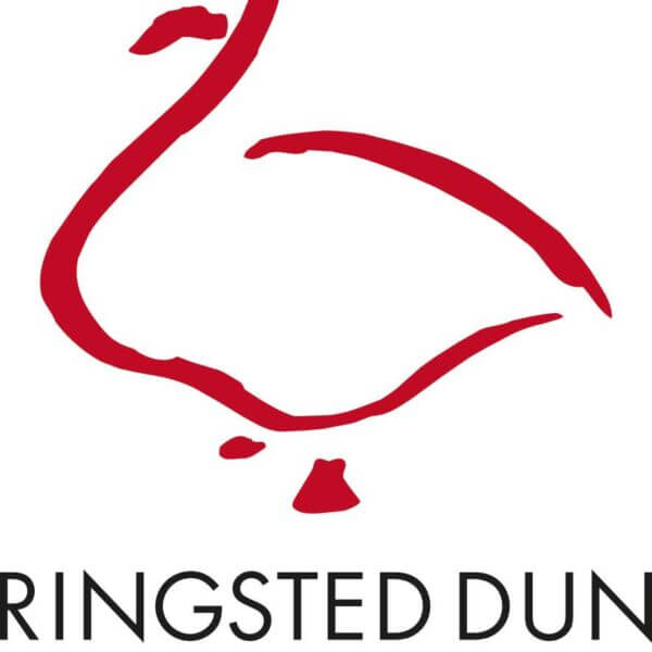 ringsted-dun